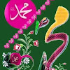 Ana Fatima Dilshad Alam