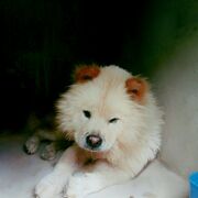 SANNY
