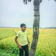 Nisad Ahammed
