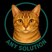 AnySolution