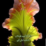 Zakir1986