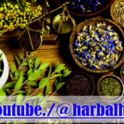 Hafizshb channel