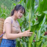 Nature1