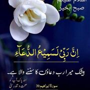 Subhan5646