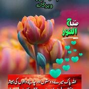 Khuram5795