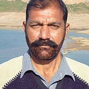 Raufnasim