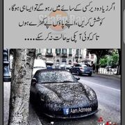 Haider1Haider