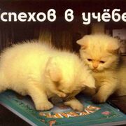 Проект Русь