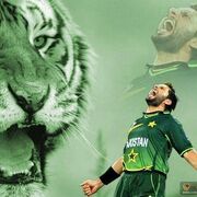 CricketChannel