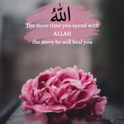 NourishSayings