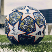 Karim31