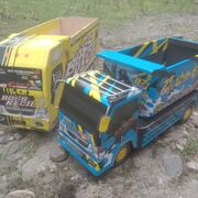amur1