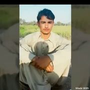 AftabKhosa786