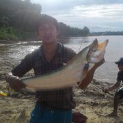 tharlha11