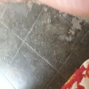 Angki88