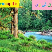 farooqaliisran
