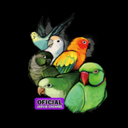 Jarvisbird