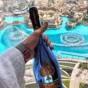 PalaceEarn