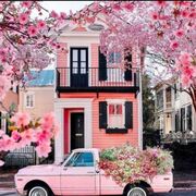 Usman296
