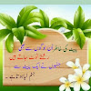 Shumaila234