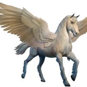 sanypegasus25