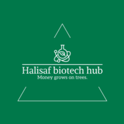 Halisaf