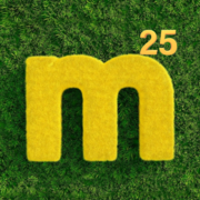 Mystery25