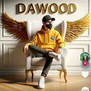 Dawoodkhan5485