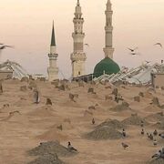 shafique9855