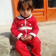Kamilk