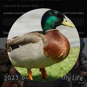 im047378