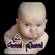 Alamzeb370
