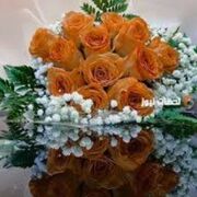 ام ساره عبد الغفار