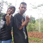 dana setiawan