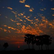 Sohag Chowdhury