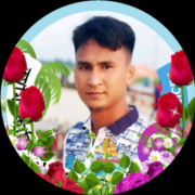 Md Shamsuddin Rahman