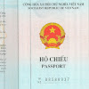 Free Visa