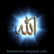 Ayeshanoor313