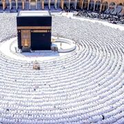 Aminm976