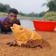 Kamalhossain