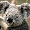 douglas perez