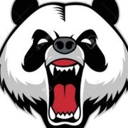 Panda300