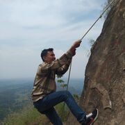 selaras gambir