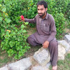 Irshad Masood