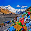 Sharan Tamang Ghalan