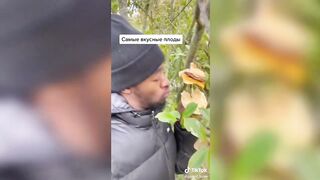 Смешные моменты из тик ток