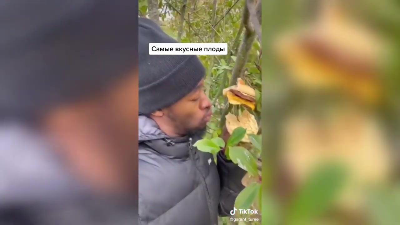 где брать смешные видео для тик тока