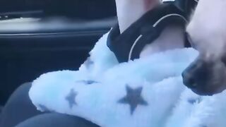 nice fanny video