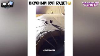 Приколы. Лучшие