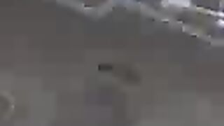 когда стая собак кайфуют на детской площадке